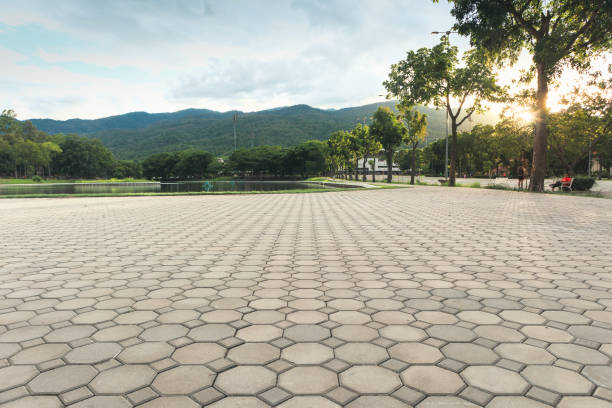 Best Custom Driveway Pavers  in Taylors, SC