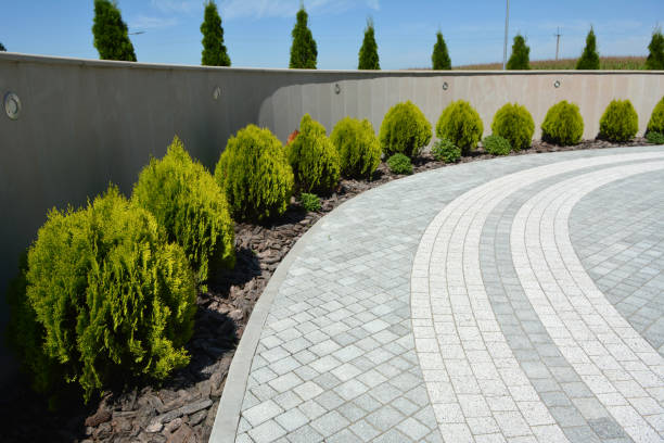 Best Concrete Paver Driveway  in Taylors, SC
